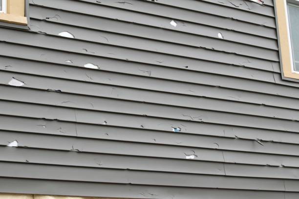 Best Wood Siding Installation  in Parkersburg, WV